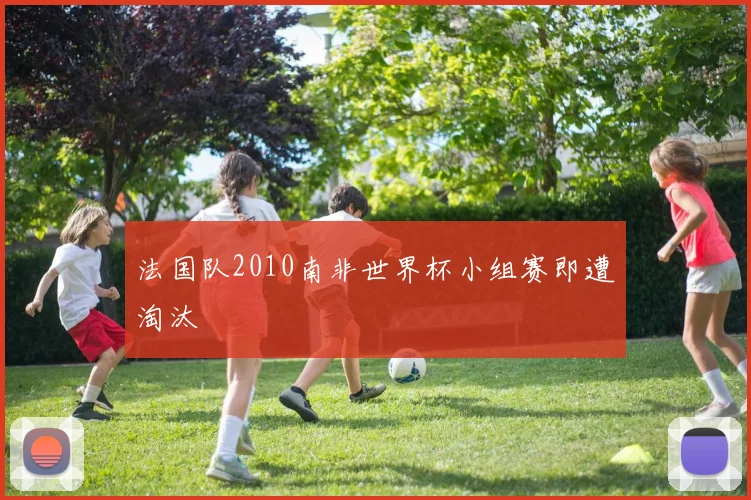 法国队2010南非世界杯小组赛即遭淘汰