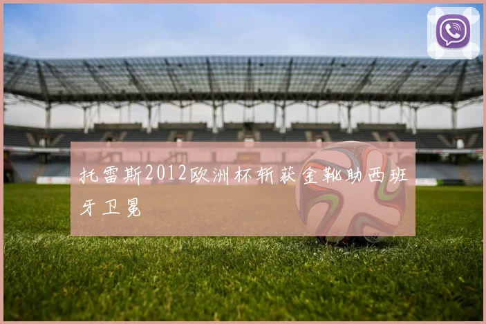 托雷斯2012欧洲杯斩获金靴助西班牙卫冕