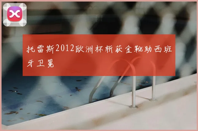 托雷斯2012欧洲杯斩获金靴助西班牙卫冕