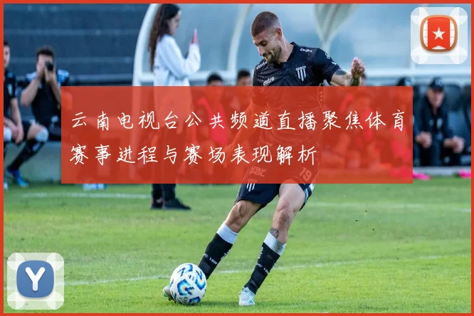 云南电视台公共频道直播聚焦体育赛事进程与赛场表现解析