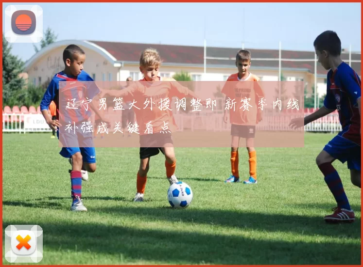 辽宁男篮大外援调整即 新赛季内线补强成关键看点